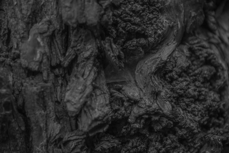 黑色-纸上有灰色丙烯酸漆-混沌抽象的有机设计