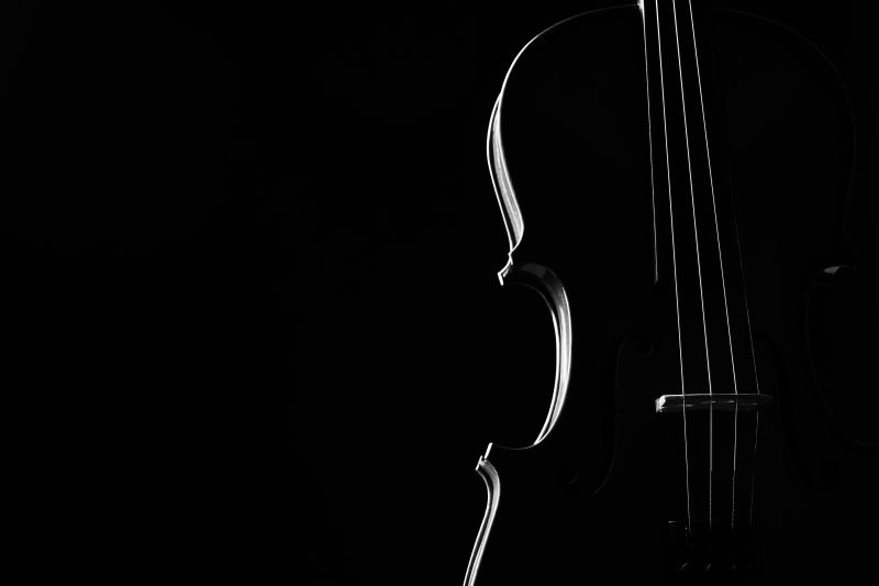 小提琴古典乐器特写镜头弦乐器小提琴孤立在黑色背景与复制空间古典