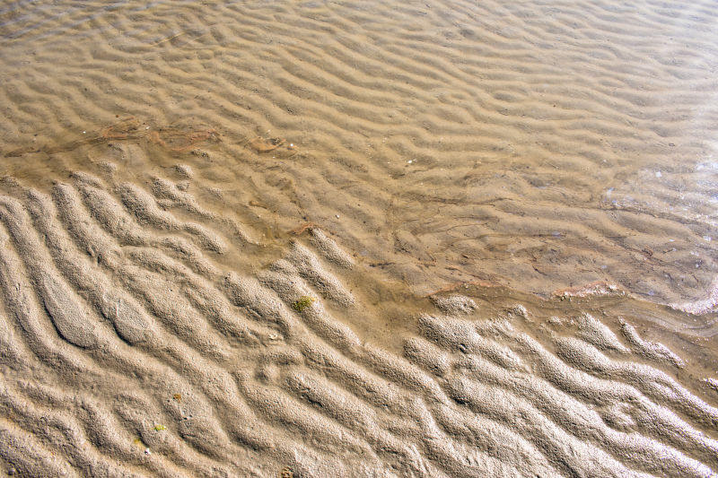 近景海滩沙背景