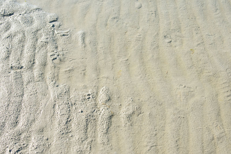 海滩自然纹理背景