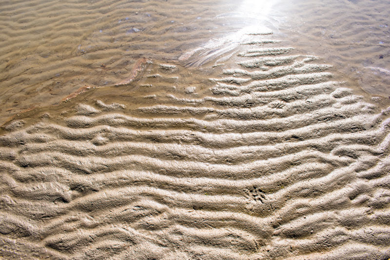 沙滩纹理曲线背景