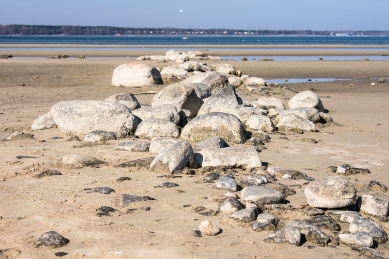 海滩自然纹理背景