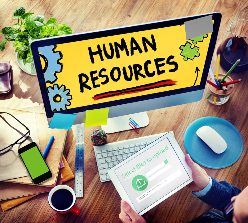 人力资源就业招聘职业理念