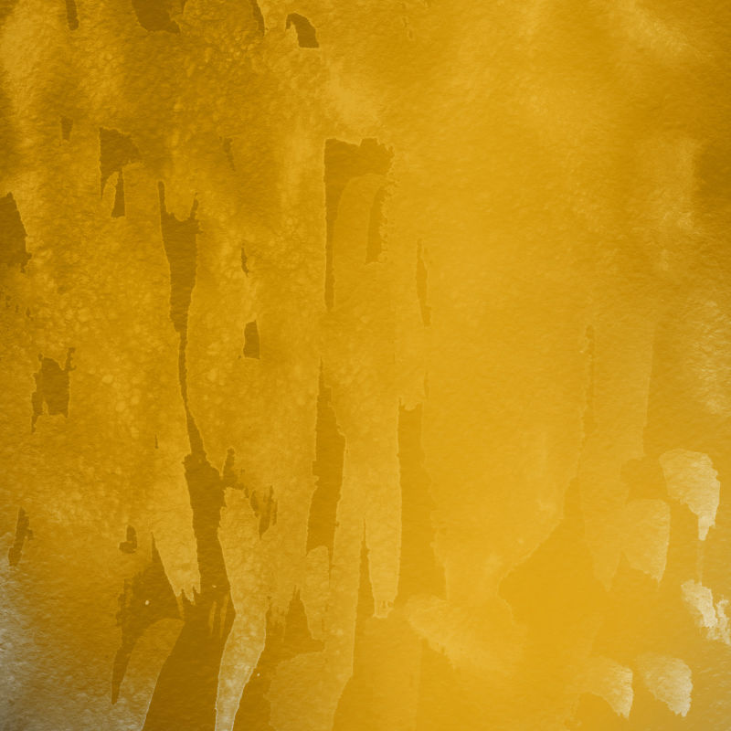 白纸背景上的金色奢华墨水和水彩纹理-油漆泄漏和ombre效应-手绘抽象形象