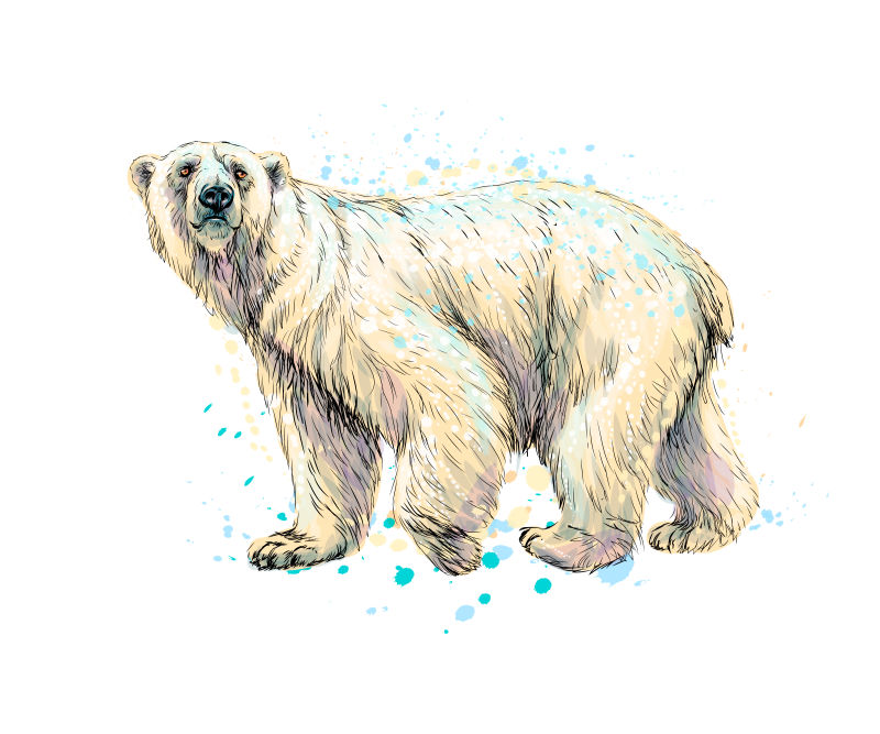 抽象北极熊从水彩飞溅手绘草图
