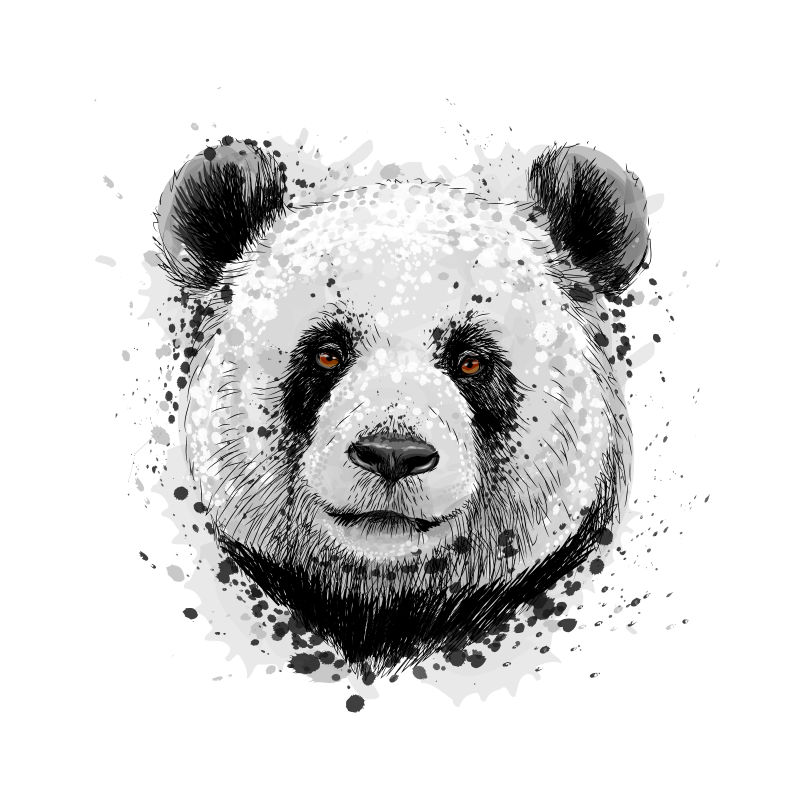 一只熊猫的水彩肖像