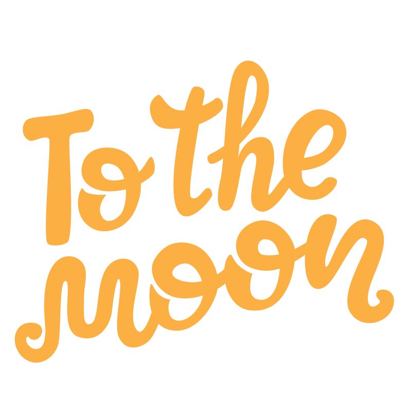 矢量热带元素背景设计