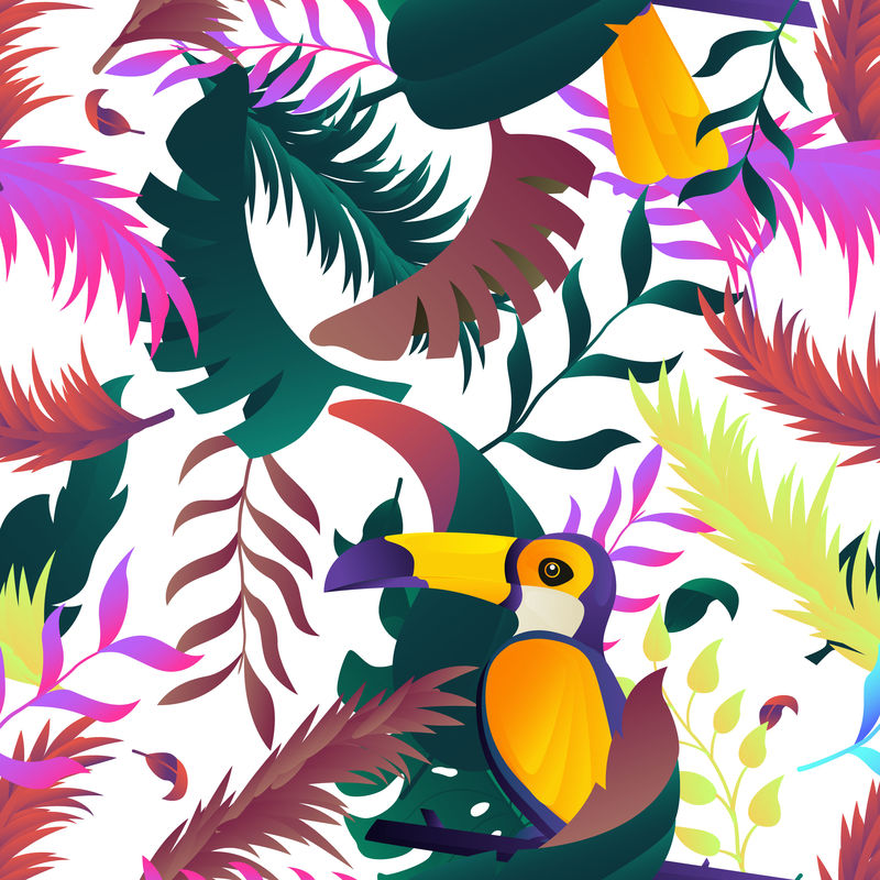 矢量热带丛林鸟类背景