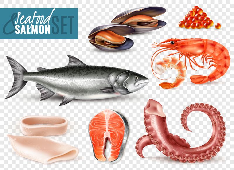 海鲜写实套装全新鲜三文鱼虾鱿鱼片章鱼触角贻贝透明背景矢量插图