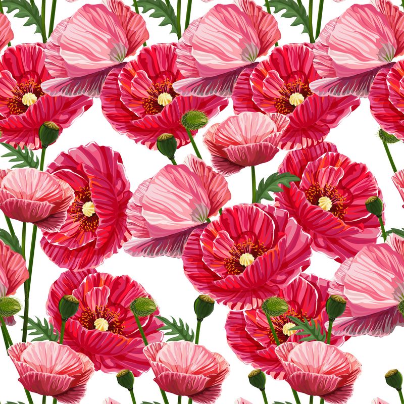 秦苒的红色罂粟花纹身图片