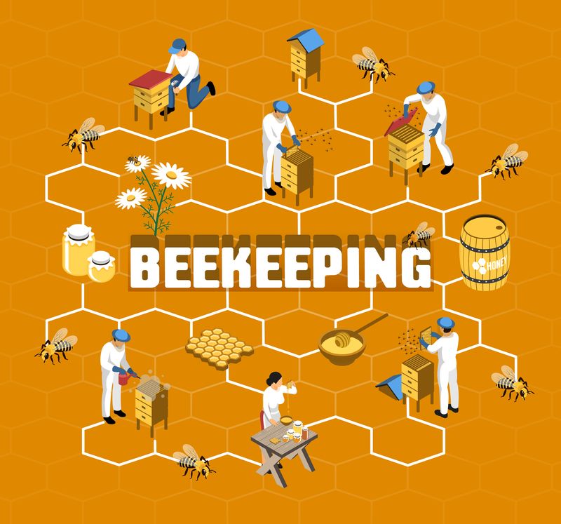 flowchart beekeeping等距