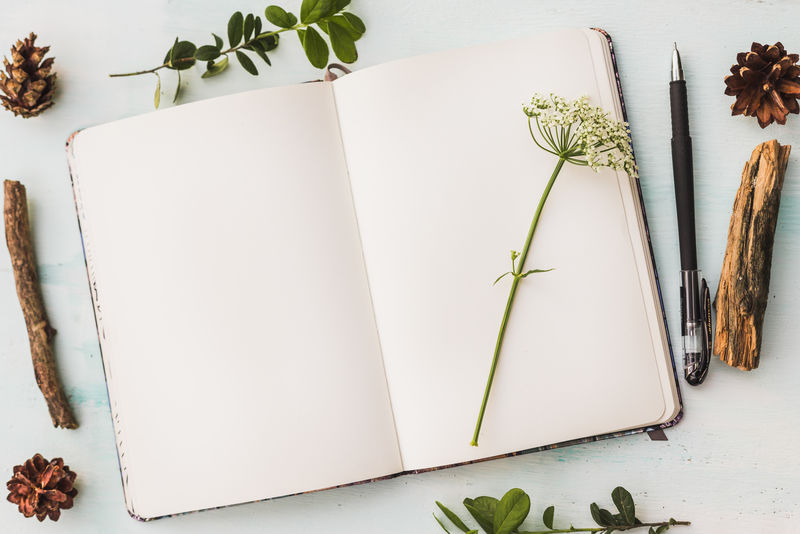 白色办公桌上的俯视图-带手机打开笔记本笔和绿叶