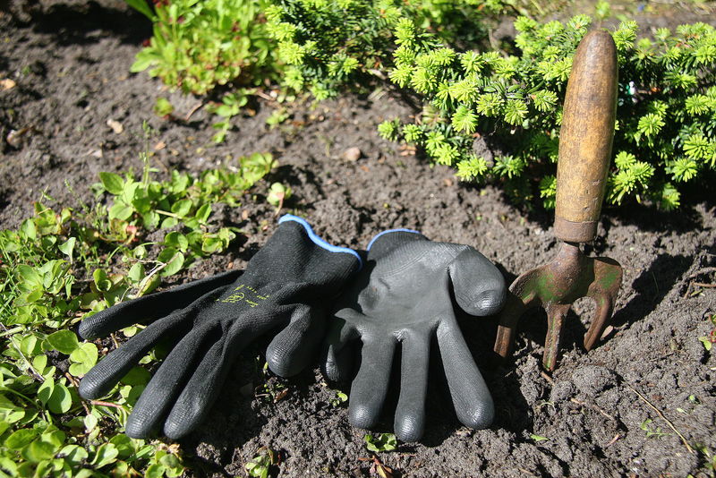 黑色园艺手套园艺工具