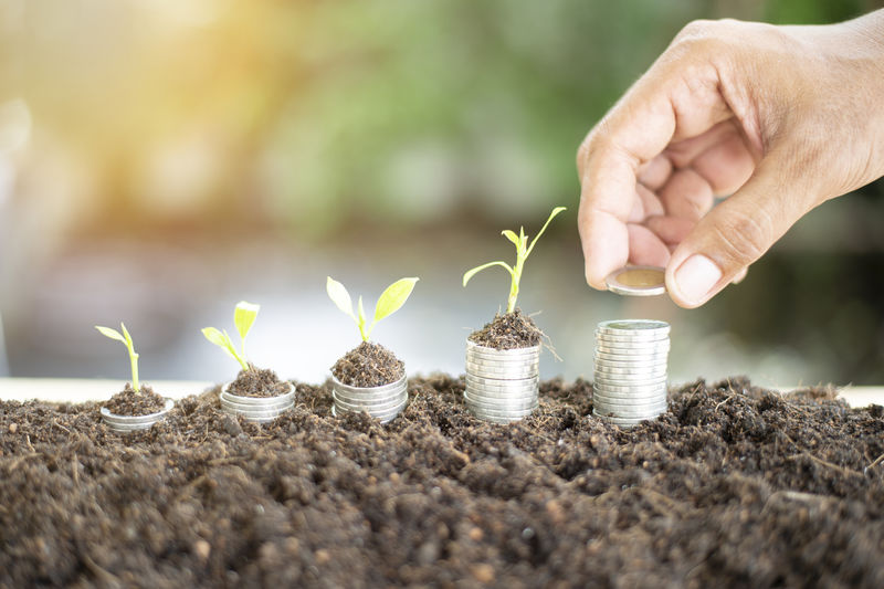 银币-在土壤里种着幼小的植物-货币增长概念