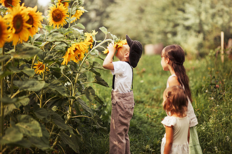 孩子们在户外快乐