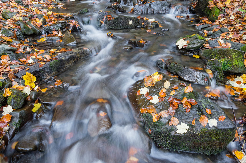 美丽的欧特姆兰开普