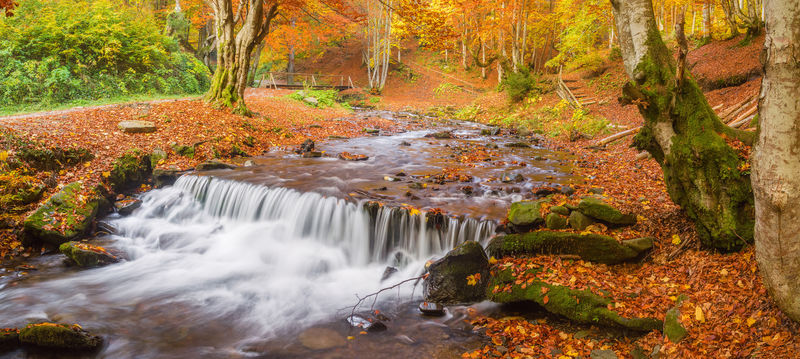 美丽的欧特姆兰开普