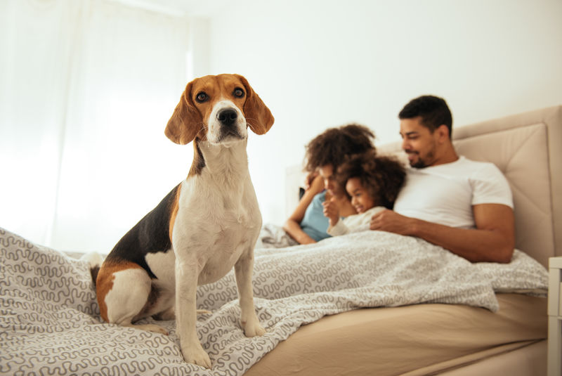 家庭时间在家里