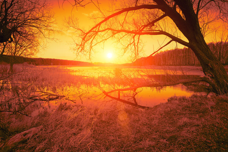 乡村景观湖面上的橙色日落