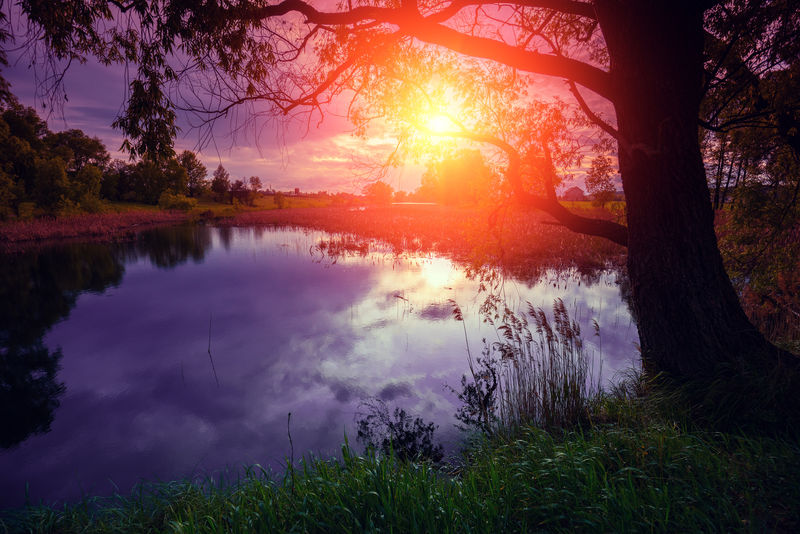 日落时分树木成荫的河岸
