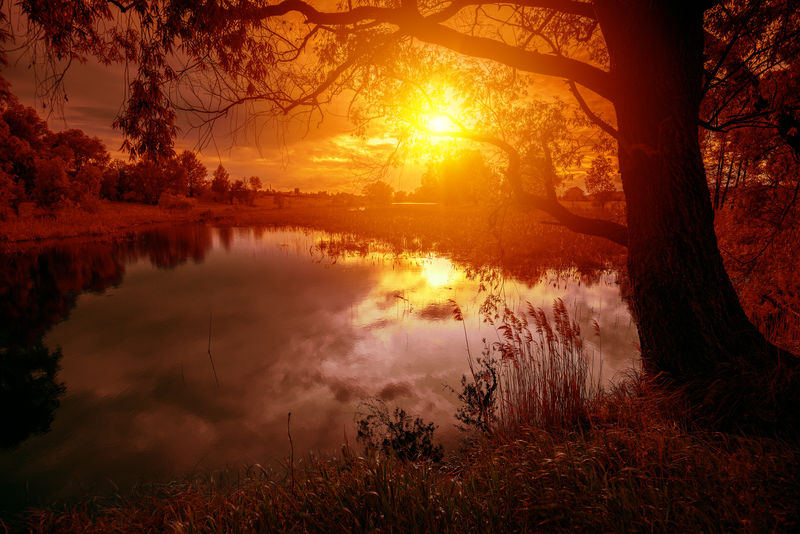 迷人的橙色日落下的湖畔田园风光
