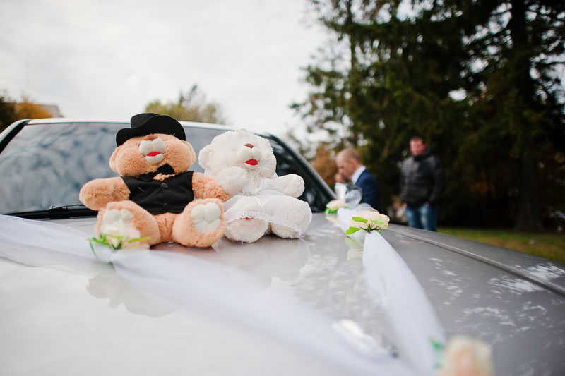 婚车上的玩具熊
