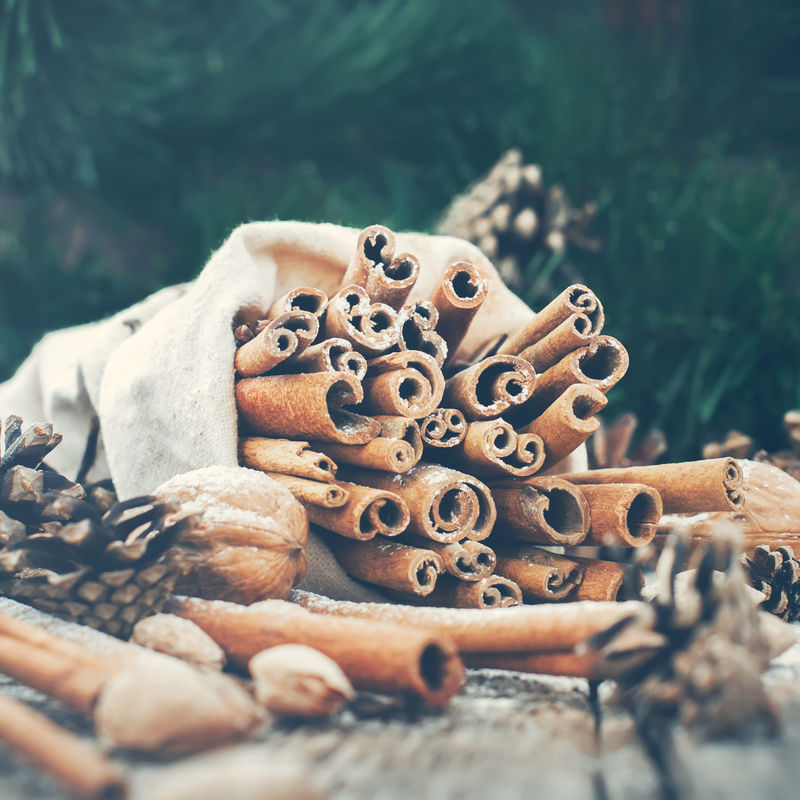 复古的圣诞作曲以桂皮松果和胡桃的枝条为背景以冷杉为背景色调的