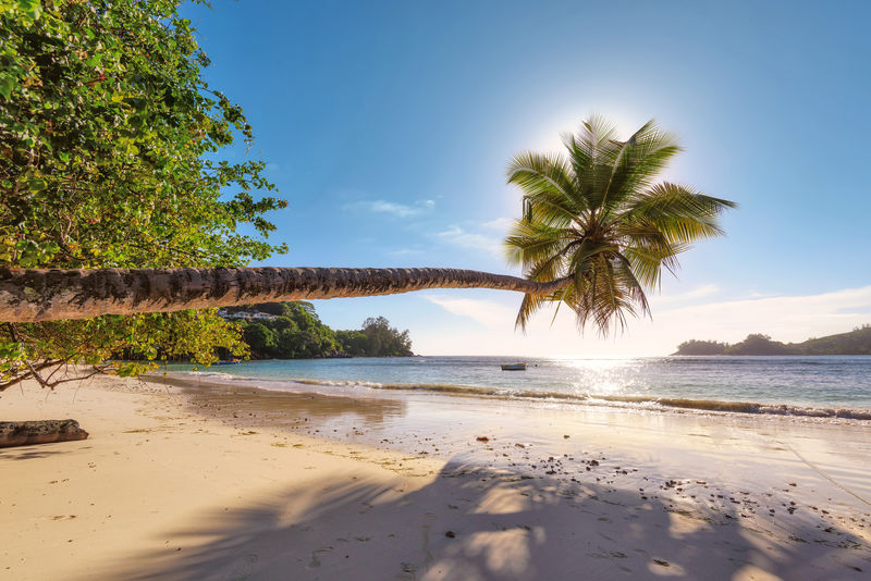 塞舌尔马埃岛日落时分的海滩时尚旅游和热带海滩概念
