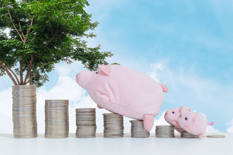 硬币的特写堆从低到高-用猪娃娃和三只小猪走到硬币的顶部-用木桌子和蓝色的天空-用树背景和复印空间-以节省金钱的概念