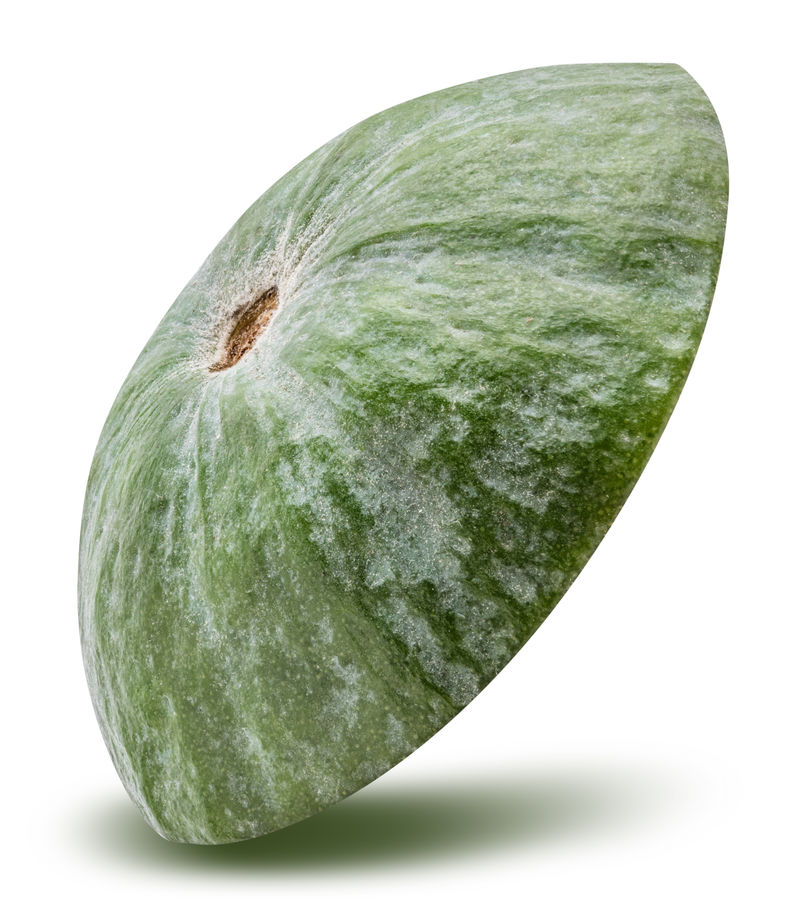 白色背景下的新鲜羊角菜