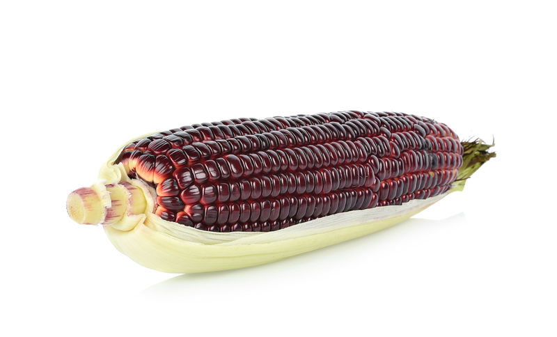白底鲜紫玉米