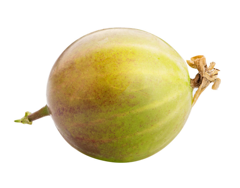 以白色为背景的醋栗剪辑路径