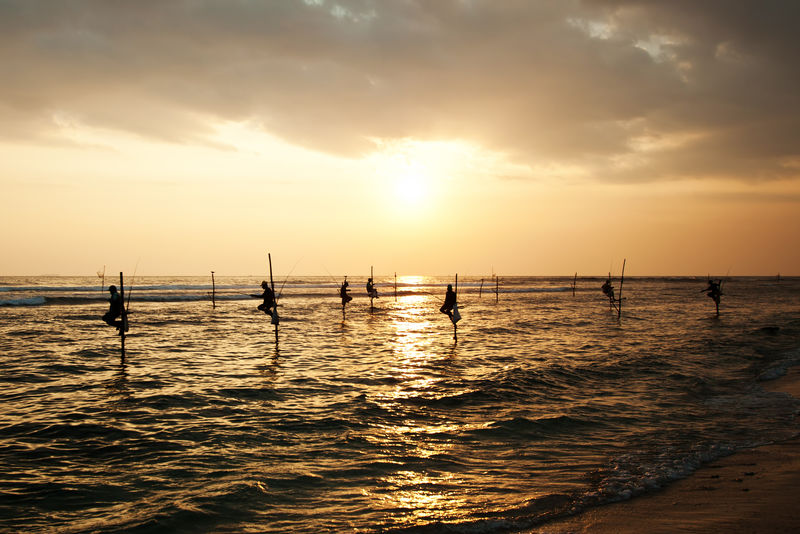 斯里兰卡加勒附近日落时分传统高跷渔民的剪影