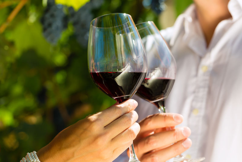 女人和男人在葡萄园喝酒葡萄酒商阳光