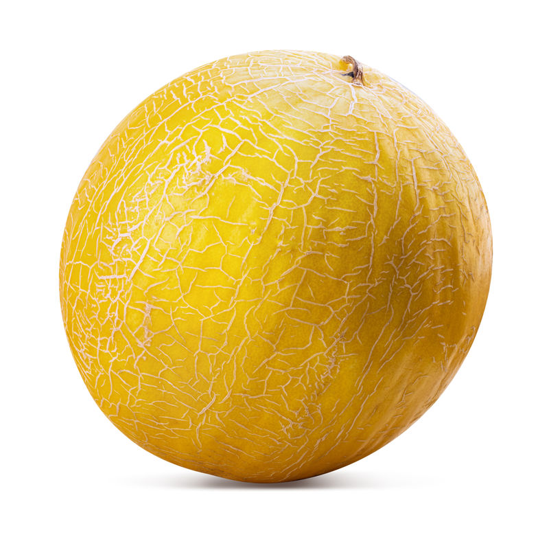 白底黄瓜剪辑路径