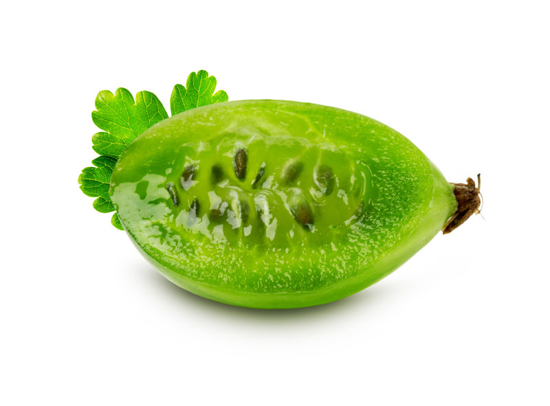 白底成熟多汁醋栗片