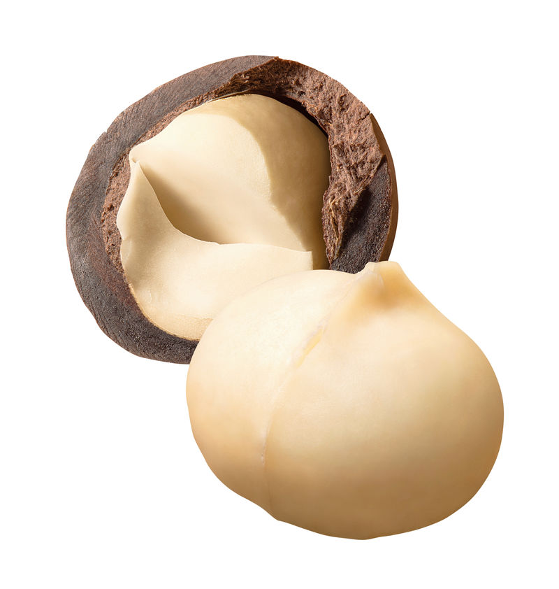 白色背景下分离的全去皮澳洲坚果