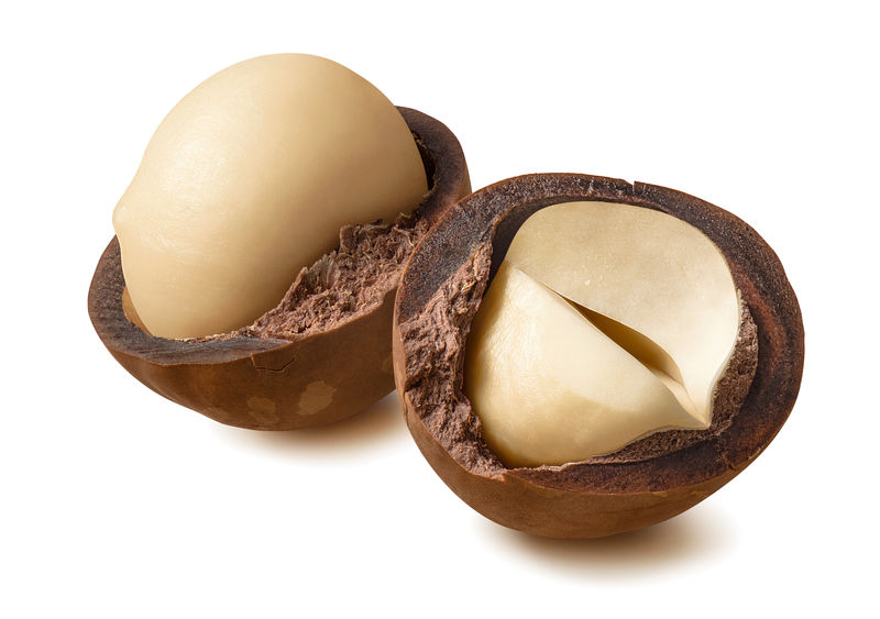 全麦坚果和半麦坚果白底隔离