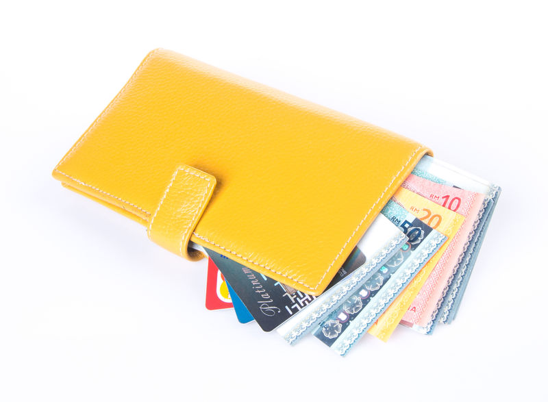 带美元和信用卡的钱包或钱包