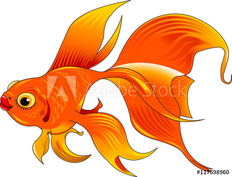 透明背景下分离出气泡的金鱼