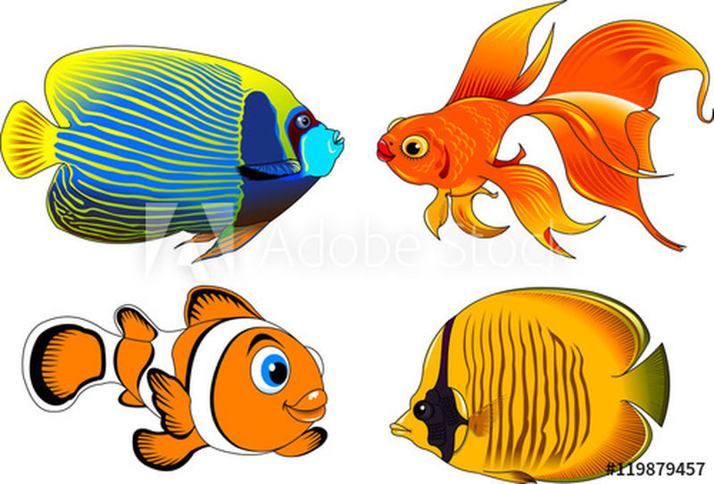 在白色背景上收集美丽的鱼-矢量和插图