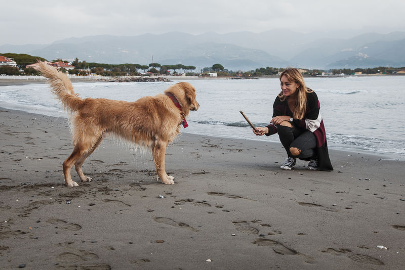 美丽的女孩与狗拉棒