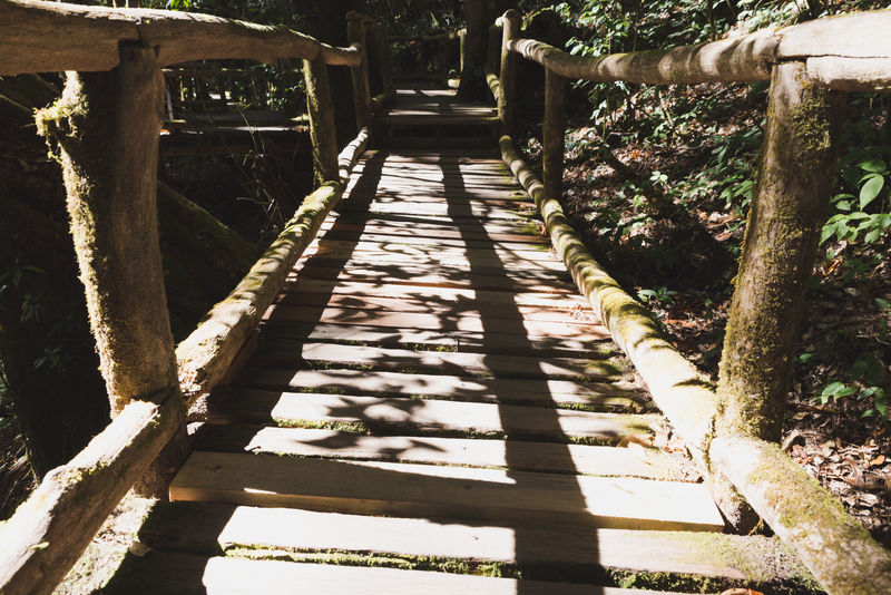 雨林步道位于泰国最高峰多伊金汉农国家公园的安加自然小径上安加郁郁葱葱