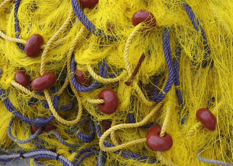 渔网
