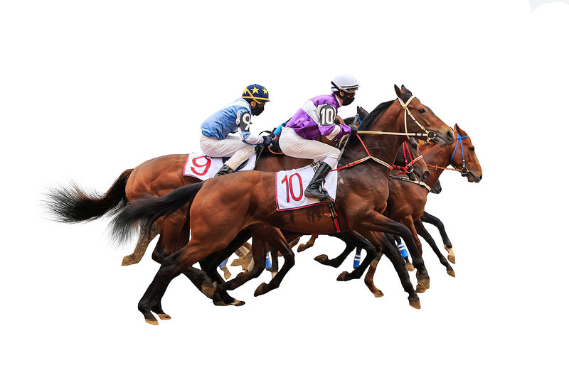 白色背景的赛马骑师