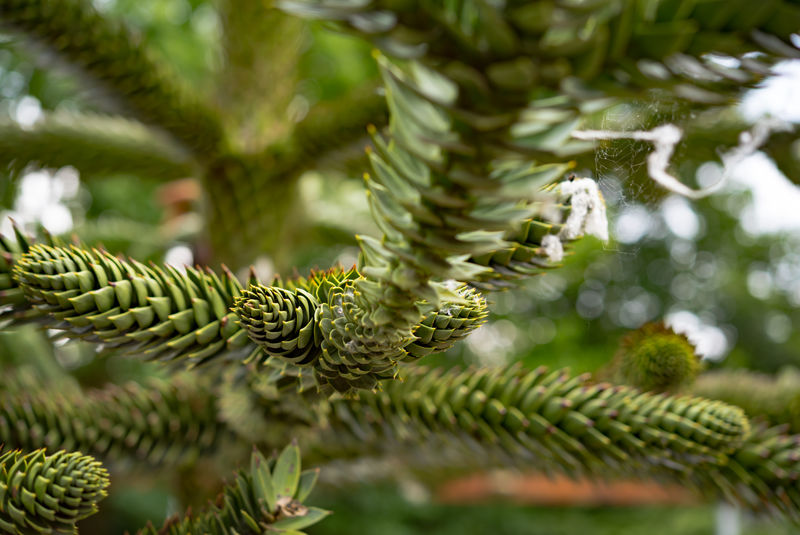 宏观视角下的自然奇观