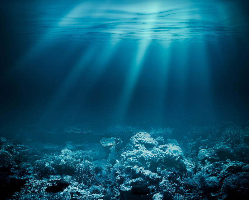 深海或海底与珊瑚礁一样素材 高清图片 摄影照片 寻图免费打包下载