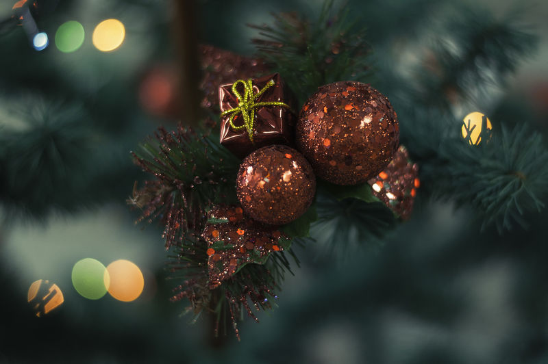 圣诞快乐-新年快乐！在室内装饰圣诞树-宏观或关闭圣诞树及其下礼物的图片-2019年新年礼品卡礼盒背景