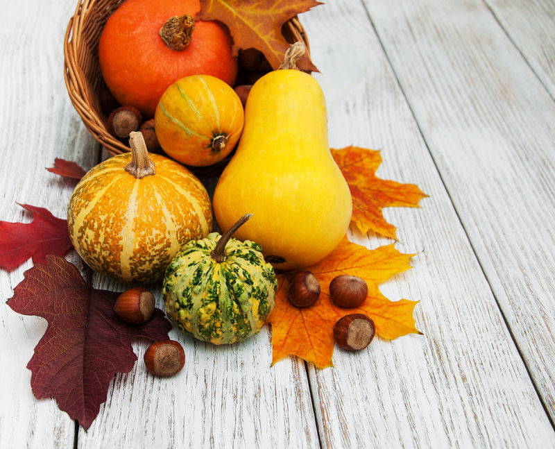 南瓜和树叶装饰健康