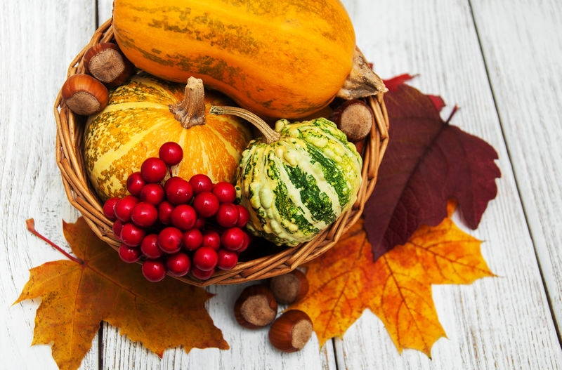 南瓜和树叶万圣节装饰